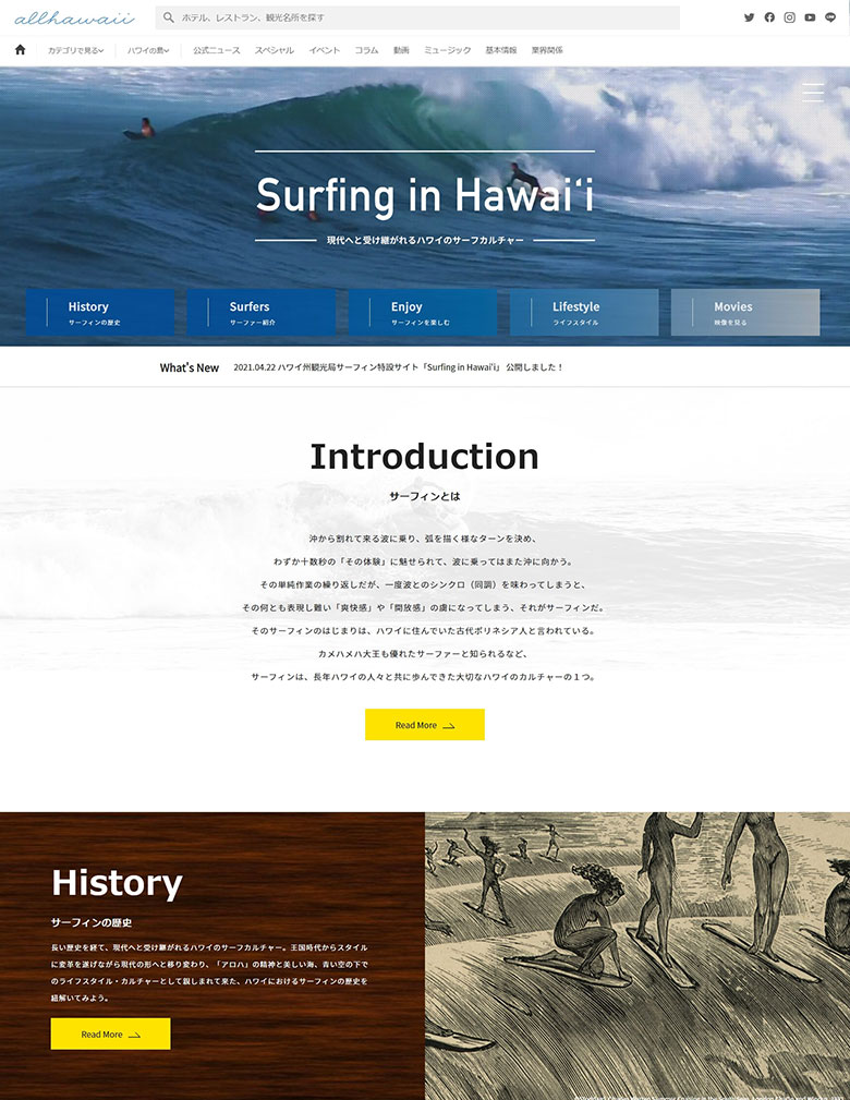 ハワイで再びいい波に乗りたいなら 今すぐ自宅で サーフィン イン ハワイ を Fineplay