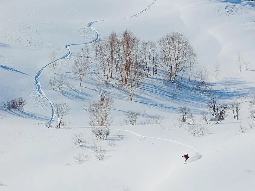 雪上サーフィンと呼ばれる